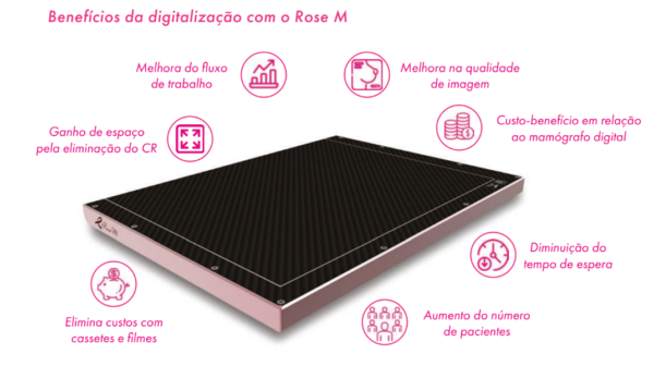 Placa Rose M - Imagem 2